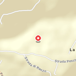 L'Orso e il Miele
