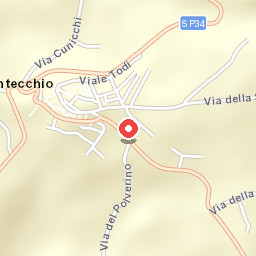 Ortensia II