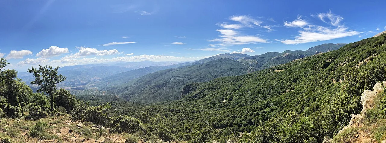 Area naturale protetta di interesse locale Stazione Relitta di Pino Laricio