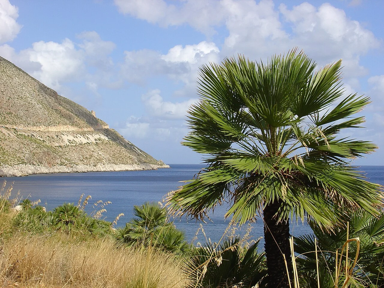 Parco Naturale del Monte San Giorgio