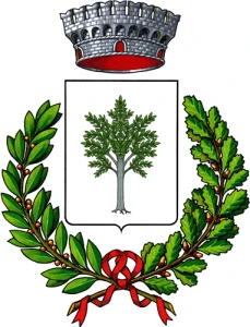 Frassino