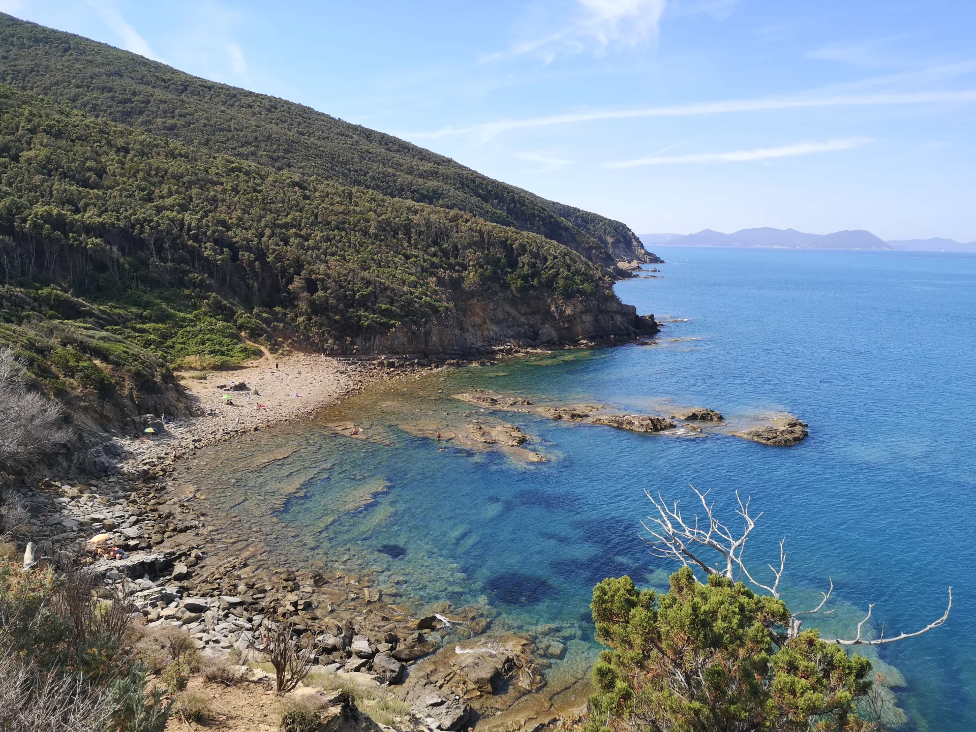 Il Grattacielo B&B