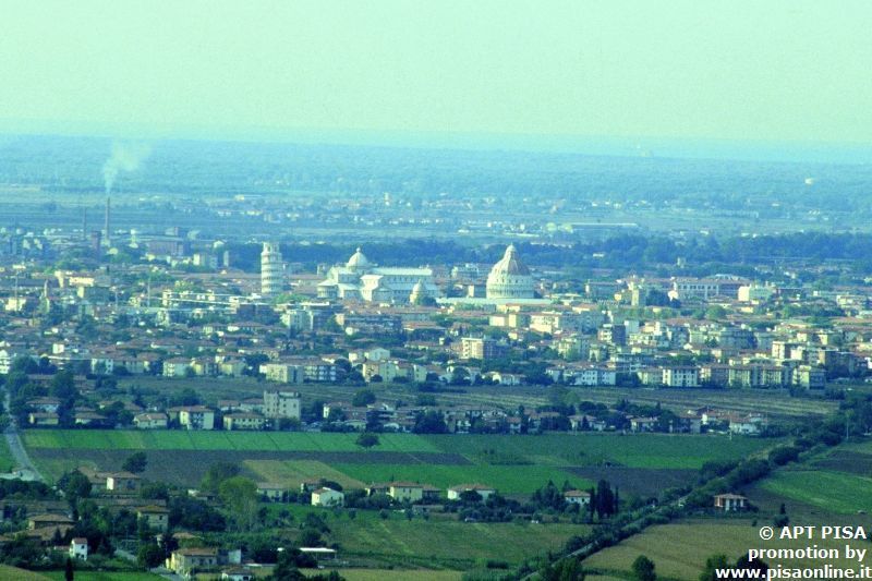 Alica La Canonica